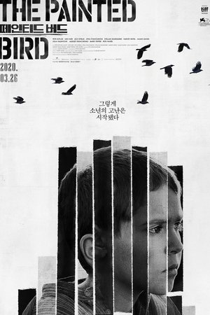 페인티드 버드