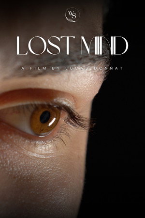 Lost Mind poster