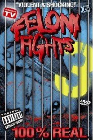 Felony fights 3: 3rd Strike poster