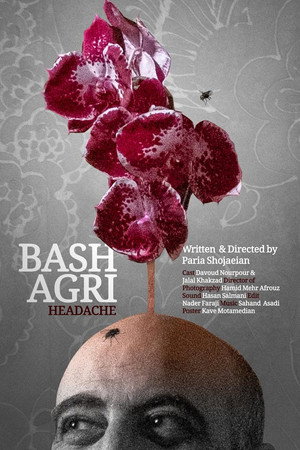 Headache Headache