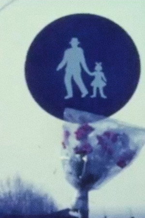 Il Sorriso Della Sfinge poster