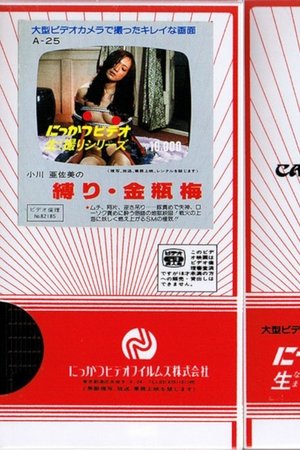 小川亜佐美の　縛り・金瓶梅