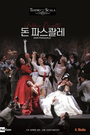 돈 파스콸레
