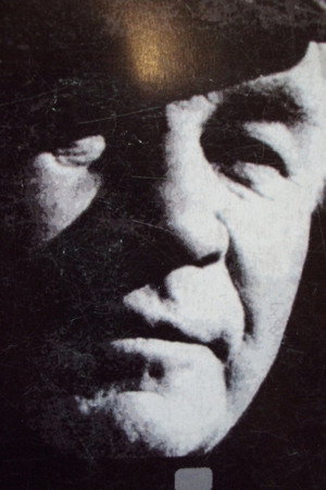 Vasili Reshetnikov