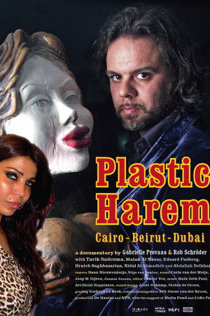 Plastic Harem poster