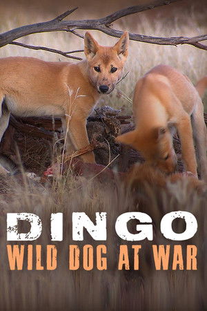 Dingo: Wild Dog at War
