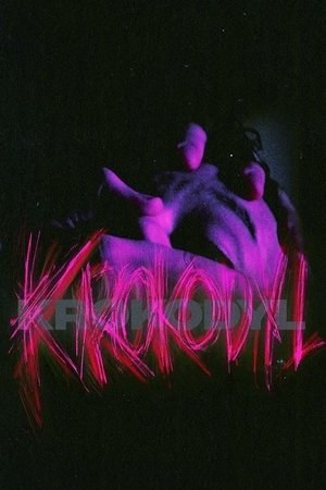 Krokodyl