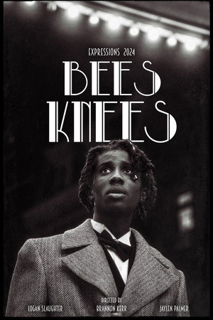 Bee's Knee's poster
