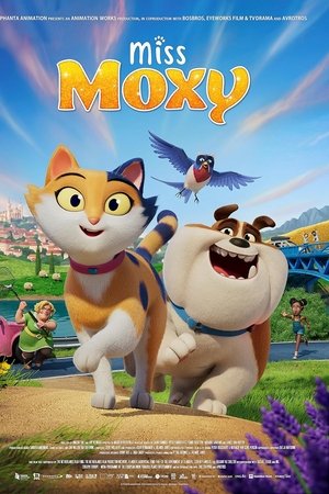 Miss Moxy