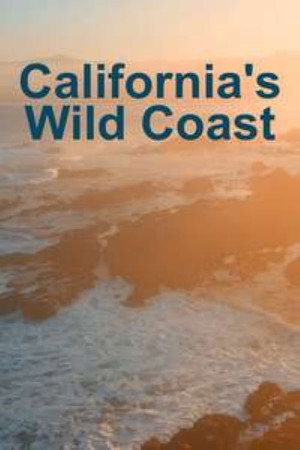 California's Wild Coast poster