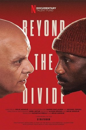 Beyond the Divide