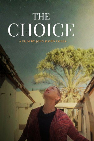 The Choice poster