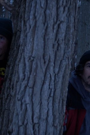 Crypto: La apuesta final