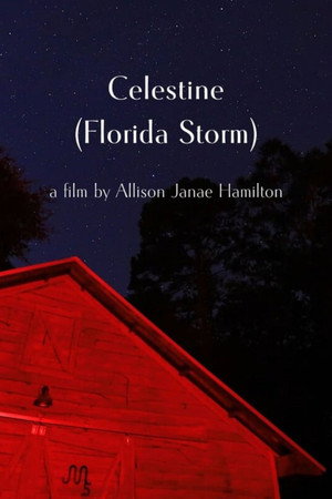 Celestine (Florida Storm) poster