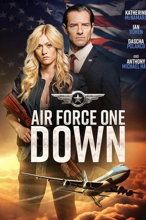 Regarder Air Force One Down en streaming