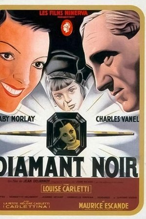 Le Diamant noir