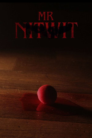Mr Nitwit poster