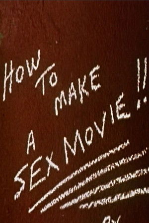 How to Make a Sex Movie