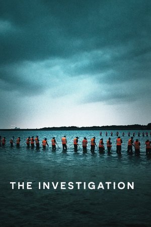 The Investigation