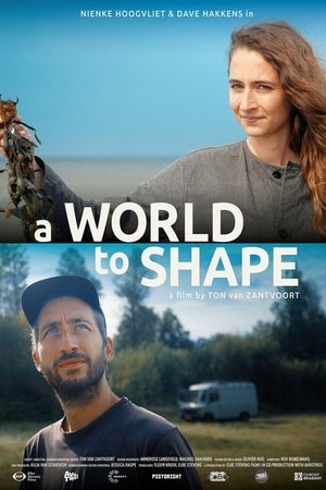 A World to Shape
