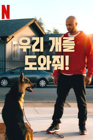 우리 개를 도와줘!