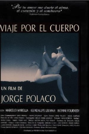 Viaje por el cuerpo
