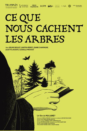 Ce que nous cachent les arbres poster