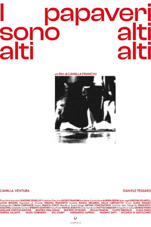 I Papaveri Sono Alti Alti Alti I Papaveri Sono Alti Alti Alti