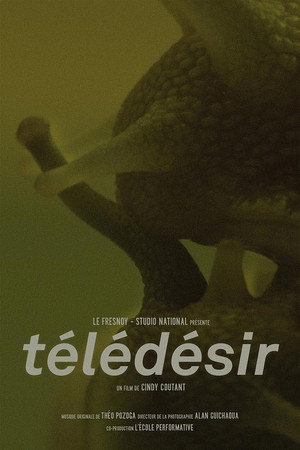 Télédésir poster
