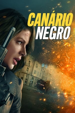 Imagem Canário Negro