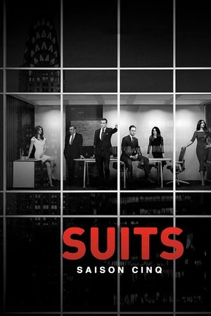 Suits : avocats sur mesure