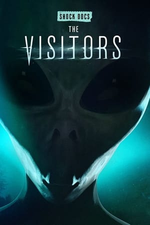 The Visitors