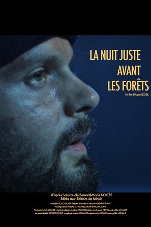 La nuit juste avant les forêts