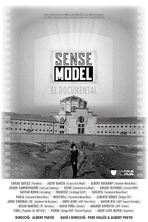 Sense Model poster