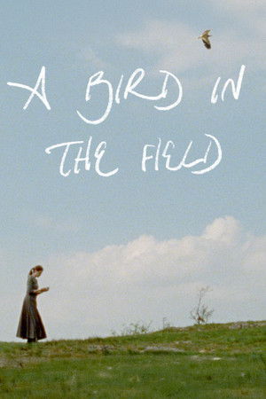 A Bird in the Field