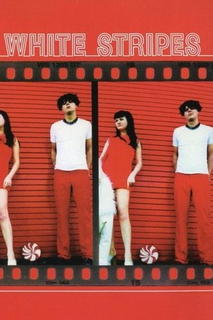 The White Stripes: Live at Paycheck's