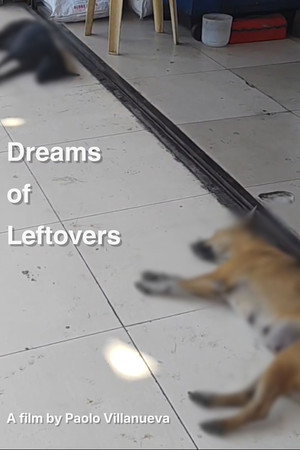Dreams of Leftovers