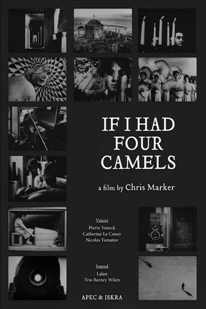 If I Had Four Dromedaries poster