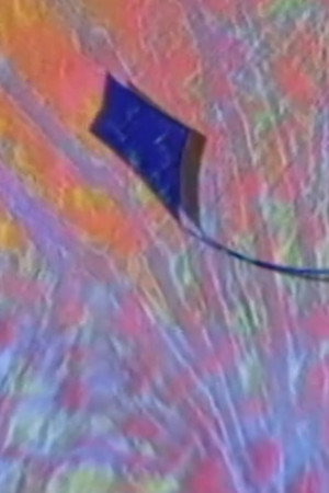 Kite poster