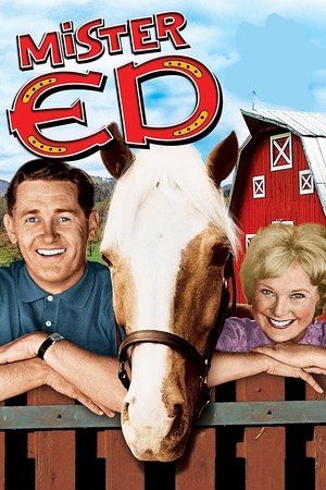 Mister Ed