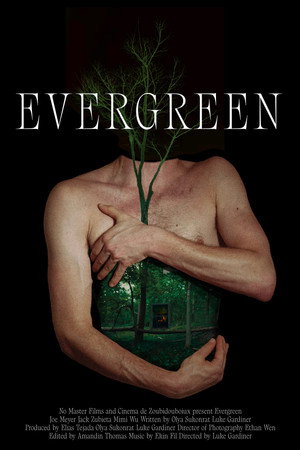 Evergreen Evergreen