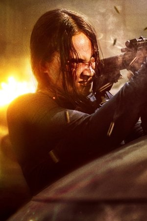 Fuera de las sombras