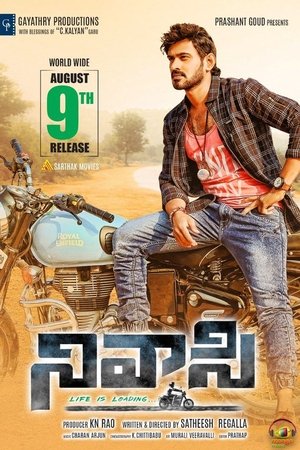 నివాసి