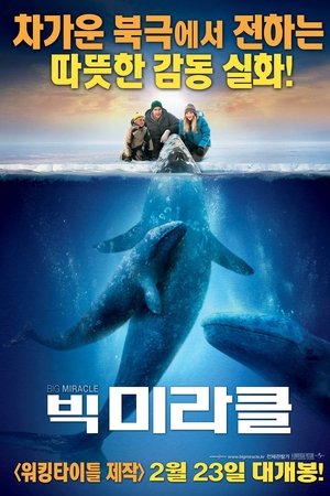 빅 미라클