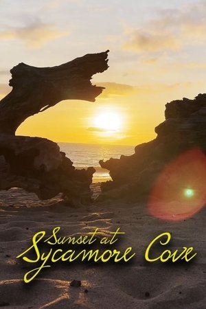 Sunset at Sycamore Cove