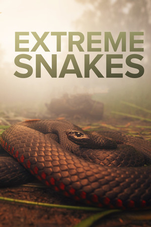 Extreme Snakes