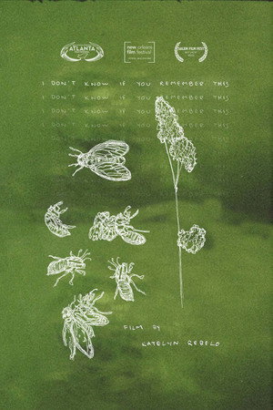 I Don't Know If You Remember This poster