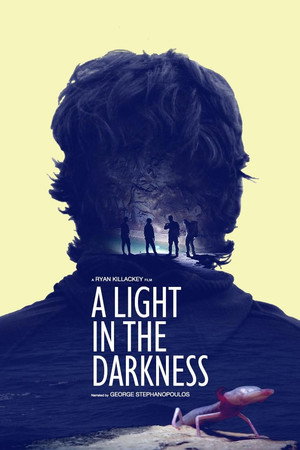 A Light in the Darkness poster