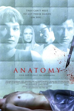 Anatomy poster