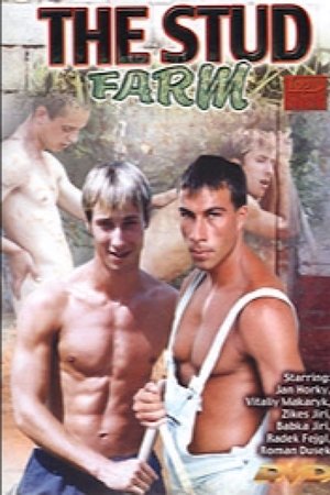 The Stud Farm